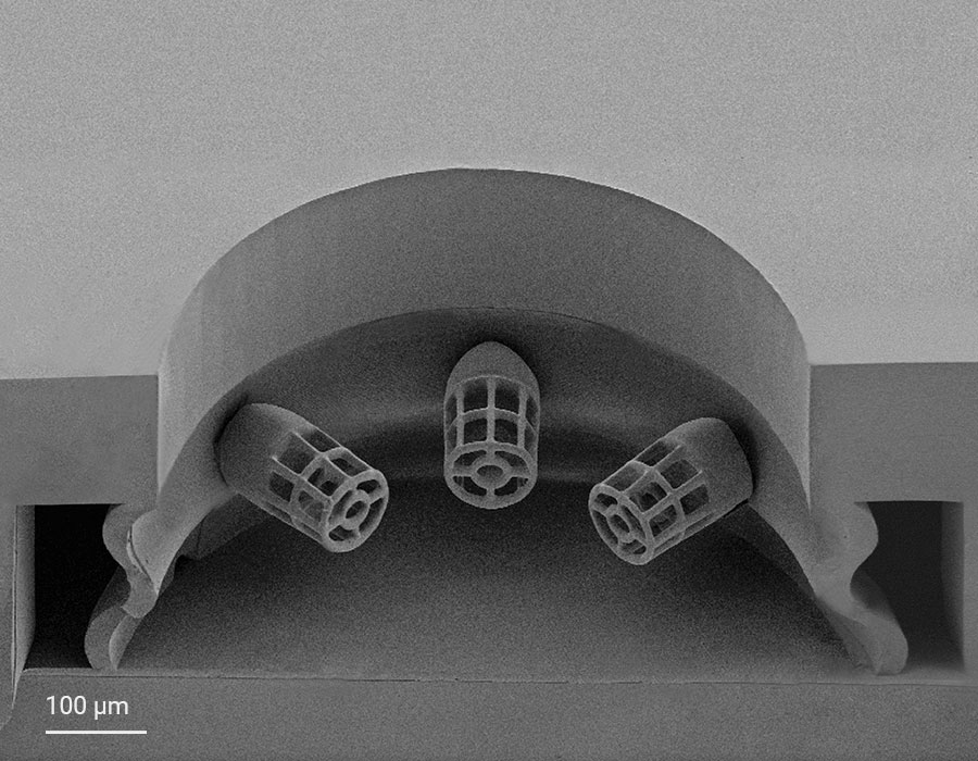 The SEM image shows the cross-section of the circular seeding well with a surrounding microfluidic channel and three tailor-made microcages that function as cell adhesion sites for the 3D freestanding cardiac microtissue.